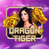 123p Dragon Tiger